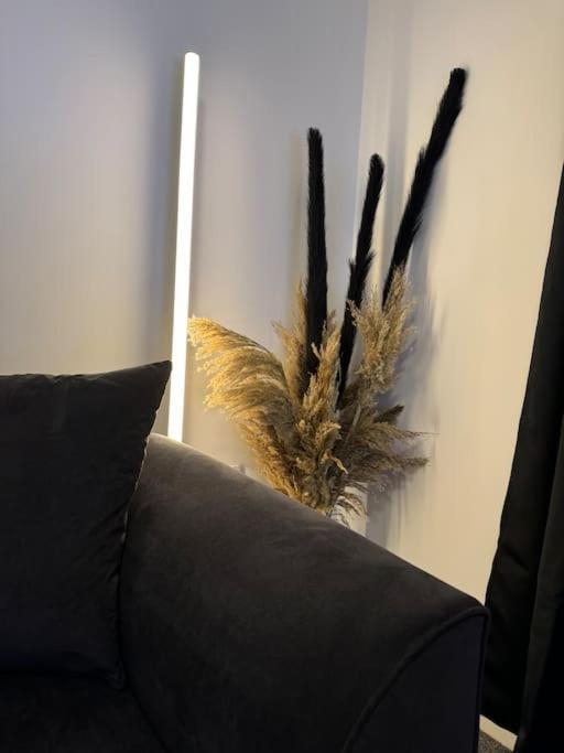 Luxury Cozy 3 Bed Apartment 5Mins From City - Free Parking! Nottingham Zewnętrze zdjęcie